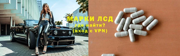 эйфоретик Инта