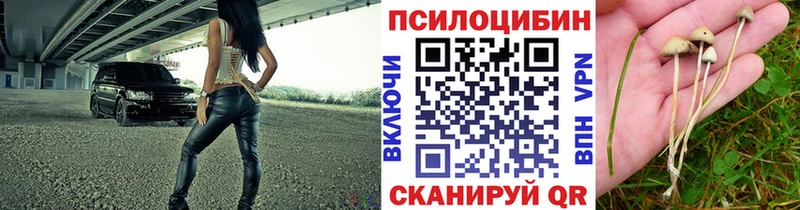 закладки  Зея  Галлюциногенные грибы мухоморы 